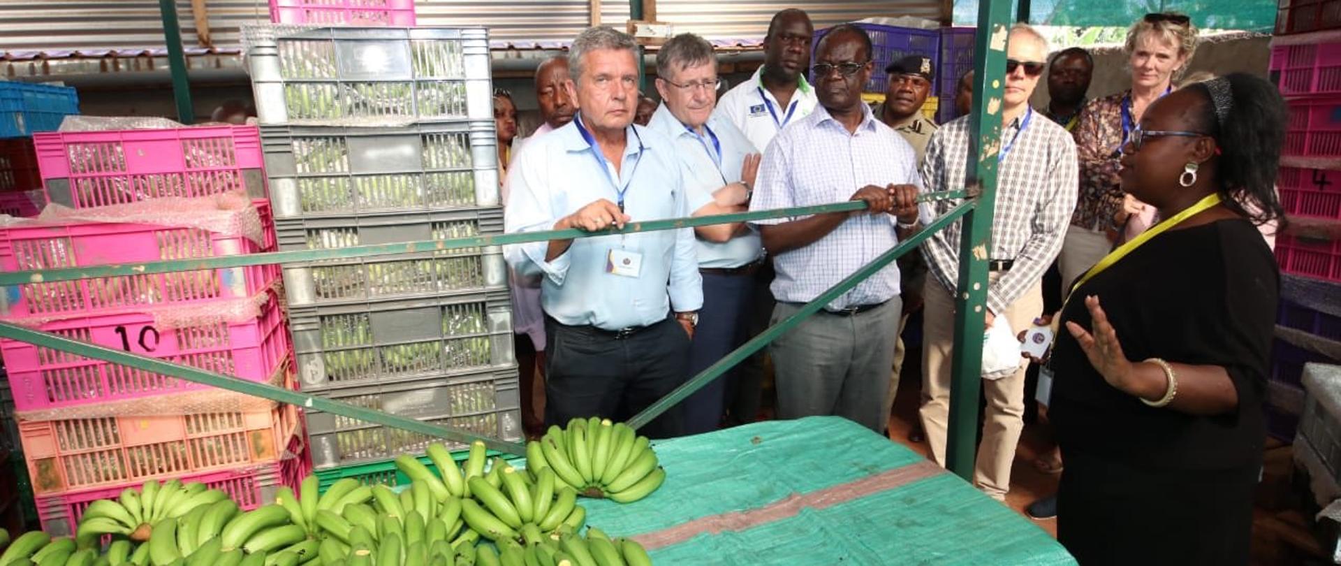 EU Ambassadors joint visit to Meru County