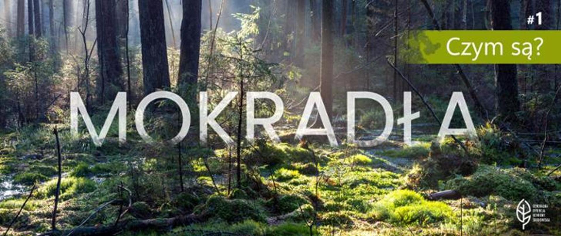 Zdjęcie przedstawia podmokły las. Przez korony wysokich drzew przebijają się promienie słoneczne. Runo leśne jest gęsto porośnięte zielonym mchem. Widać młode drzewka, paprocie oraz powalone gałęzie i konary. Na zdjęciu nałożone są napisy: na samym środku wielki, biały półprzezroczysty napis. W prawym górnym rogu jasnozielony pasek z białym napisem. Czym są? W prawym dolnym rogu znajduje się biały logotyp Generalnej Dyrekcji Ochrony Środowiska (biały liść)
