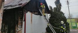 Budynek drewniany, dwóch strażaków ratowników ubranych w sprzęt ochrony układu oddechowego, jeden stoi na drabinie opartej o szczyt nadpalonego domu, podaje prąd wody na pożar, drugi stoi na ziemi i zabezpiecza drabinę i podtrzymuje węża