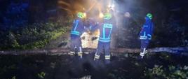 zdjęcie przedstawia strażaków usuwających powalone drzewo na jezdnię 