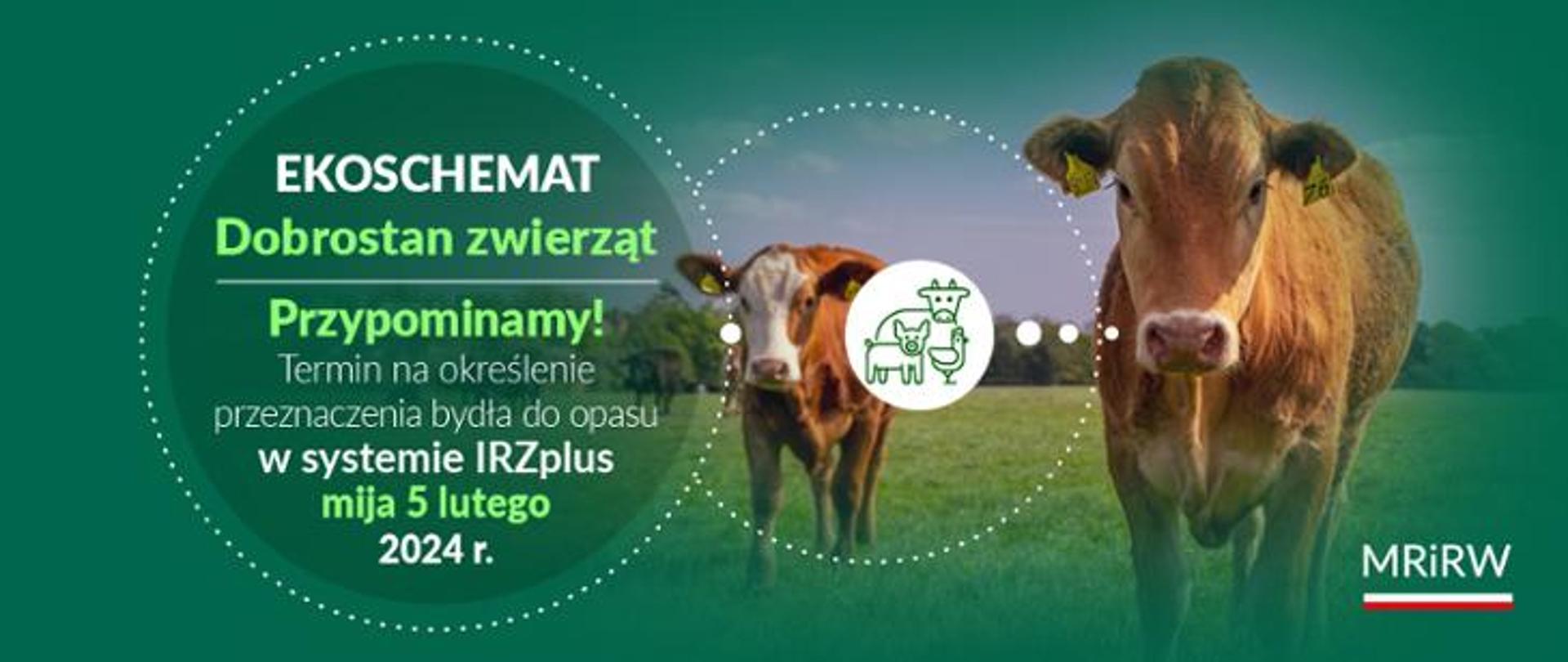 Dobrostan_zwierząt_przypominamy