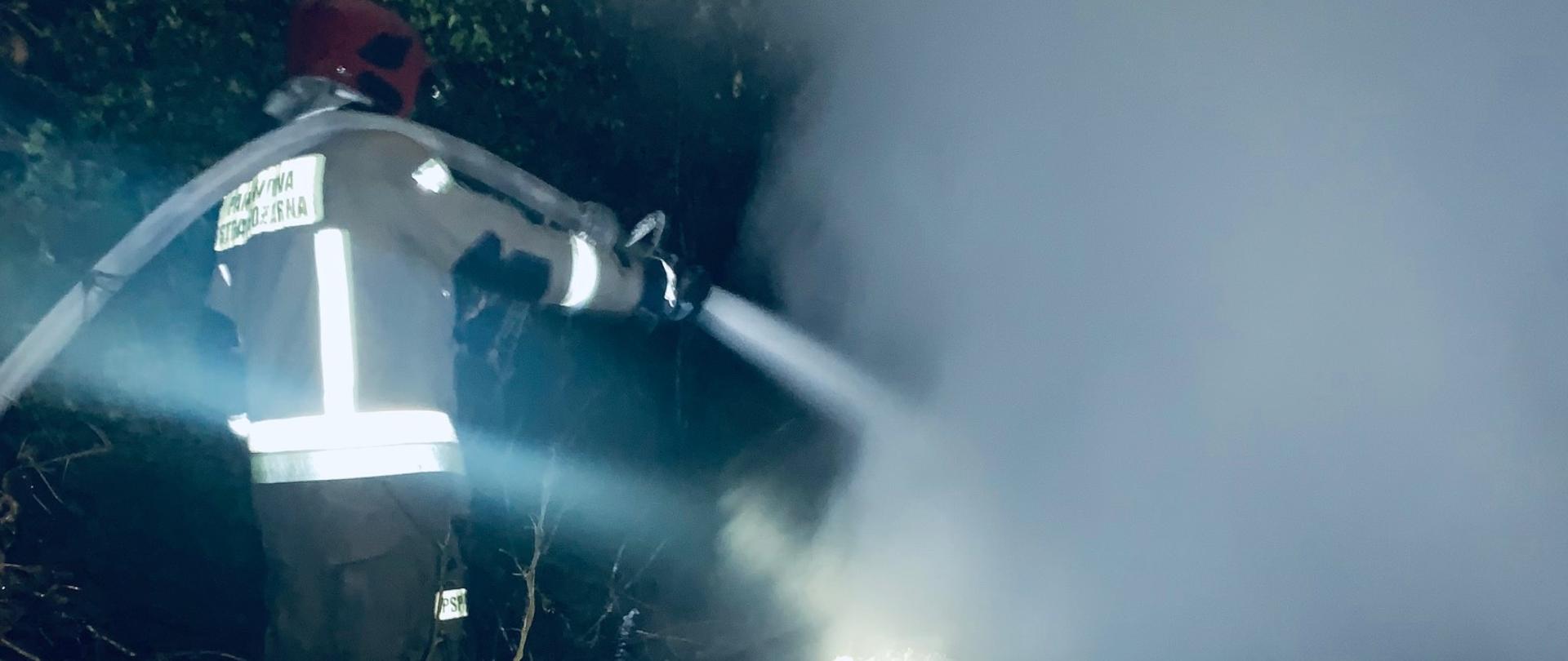  Zdjęcie przedstawia ratownika podającego wodę na palący się budynek. Z pogorzeliska unoszą się kłęby pary wodnej i dymu.