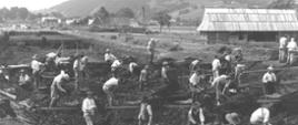 Czarno-białe zdjęcie na którym widoczni są robotnicy pracujący na rozkopanej ziemi, która docelowo będzie drogą.