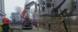 Na terenie działań widzimy kończących akcję strażaków. Kosz podnośnika opuszczany jest już na ziemię, a ramię dźwigu składane. Na ziemi widać pocięte i połamane kawałki drzewa które oparte było o budynek