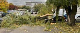 Na zdjęciu połamane drzewo na parkingu i samochodzie, drzewo leży na drodze parkingowej
