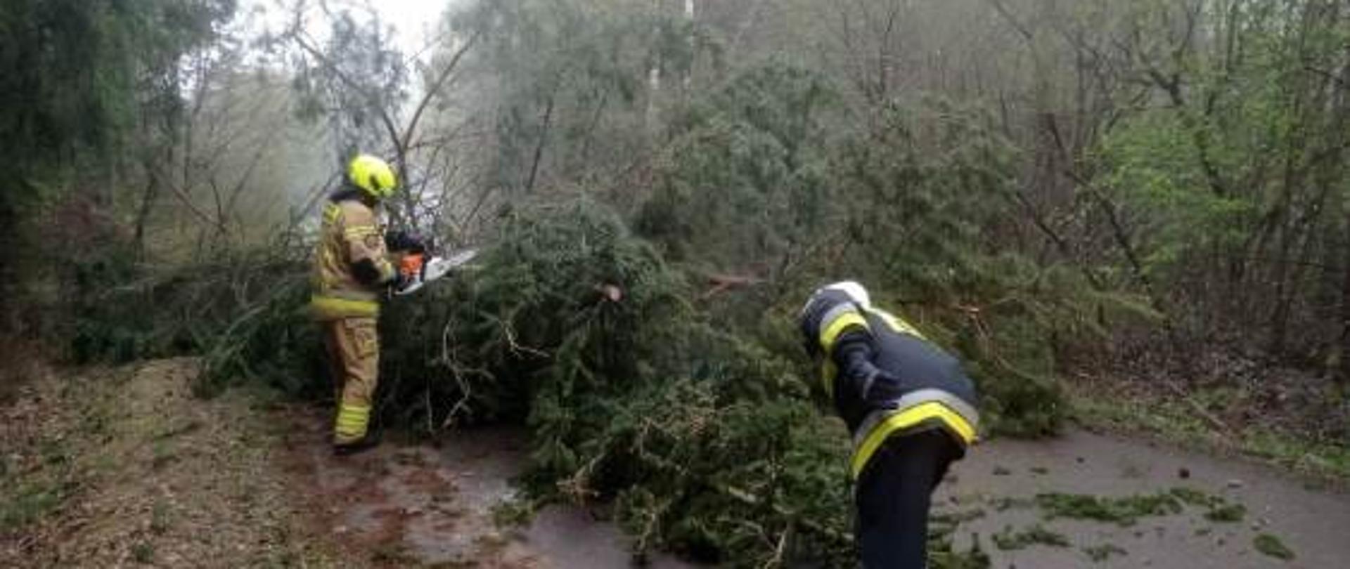 28 zdarzeń z powodu silnego wiatru w powiecie grajewskim