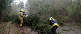 28 zdarzeń z powodu silnego wiatru w powiecie grajewskim