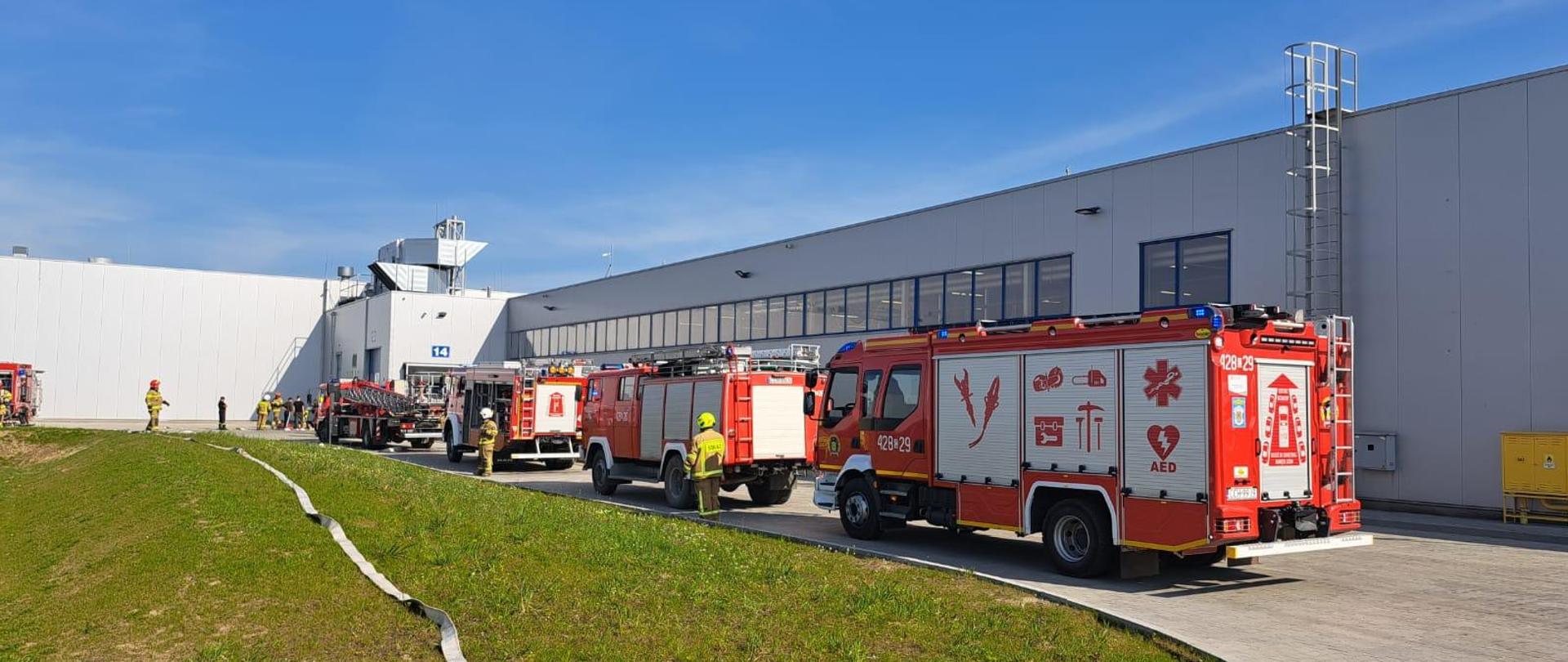 Ćwiczenia zgrywające Stiegelmeyer 2023