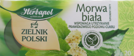 Morwa biała Suplement diety Herbata ziołowa, Zielnik Polski, 40g (20 torebek)2