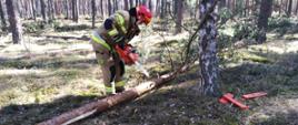 Zdjęcie przedstawia strażaka podczas przycinki gałęzi 