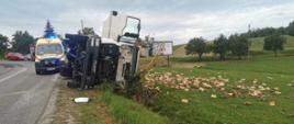 Przód przewróconego na poboczu samochodu ciężarowego. W pobliżu na łące rozsypane drewno z załadunku.