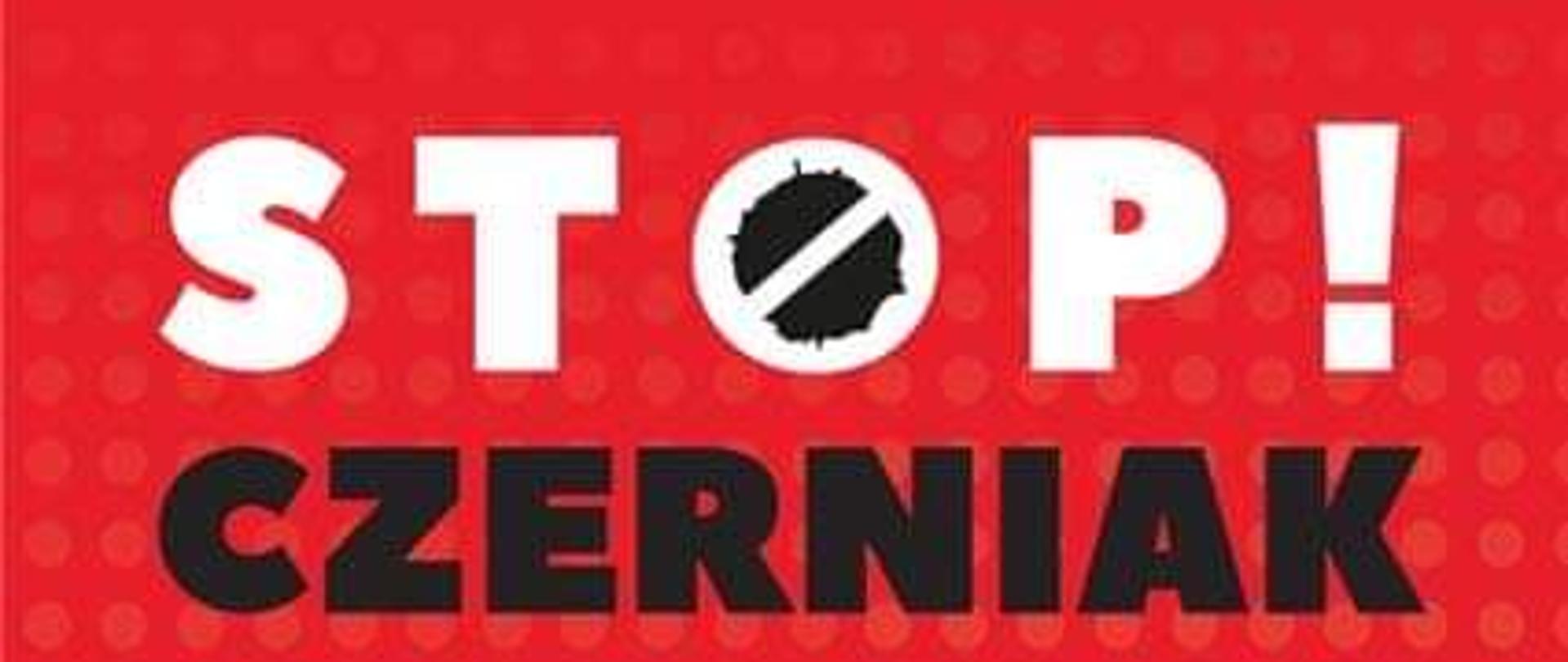 Plakat akcji dotyczącej badań czerniaka.