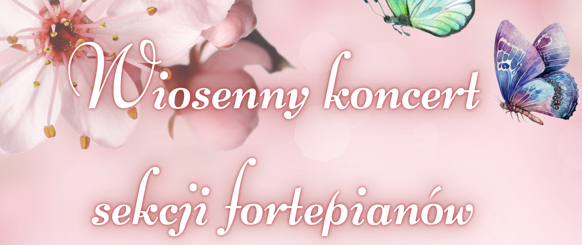 Plakat Różowe tło u góry jasnoróżowy rozkwitnięty biały kwiat sztuk dwie randomowe rozmieszczone kolorowo motyle sztuk 6 pośrodku napis białymi literami wiosenny koncert w sekcji fortepianów 6 czerwca 2024 godzina 18:00 państwo już szkoła muzyczna pierwszego i drugiego stopnia imienia Witolda lubelskiego w Nysie sala koncertowa w prawym dolnym rogu czarne logo szkoły muzycznej w Nysie według ustalonego znaku
