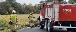 Strażacy obok samochodu bojowego, tną powalone drzewo
