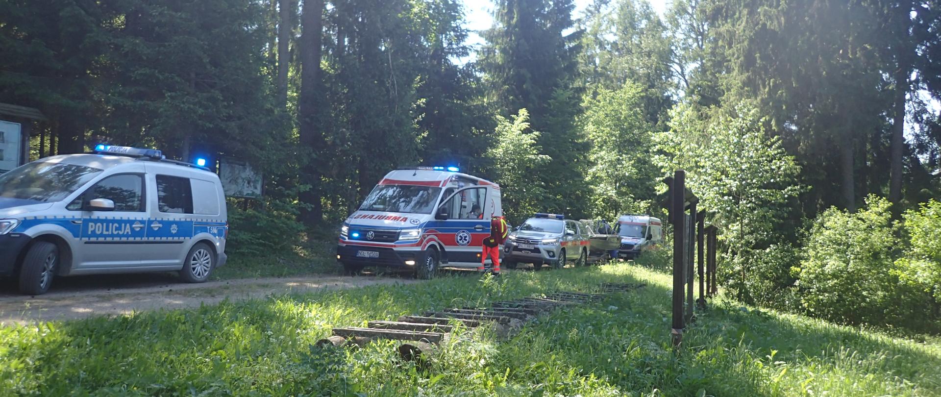 Zdjęcie przedstawia podmioty ratownicze 