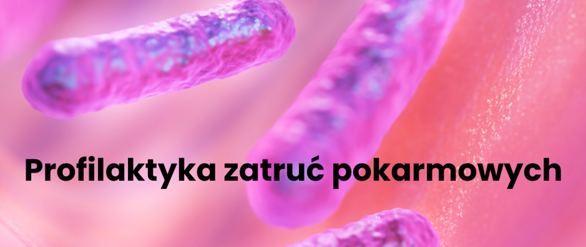 Zdjęcie przedstawia Bakterie i napis Profilaktyka zatruć pokarmowych
