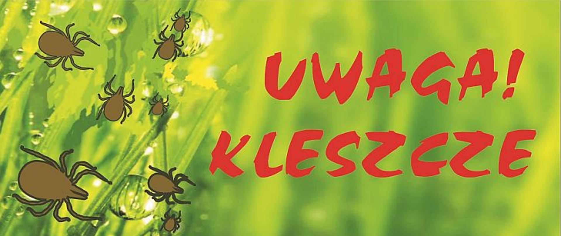 Na zielonym tle z trawą widnieje napis: uwaga kleszcze. Po lewej stronie znajduje się 8 kleszczy.