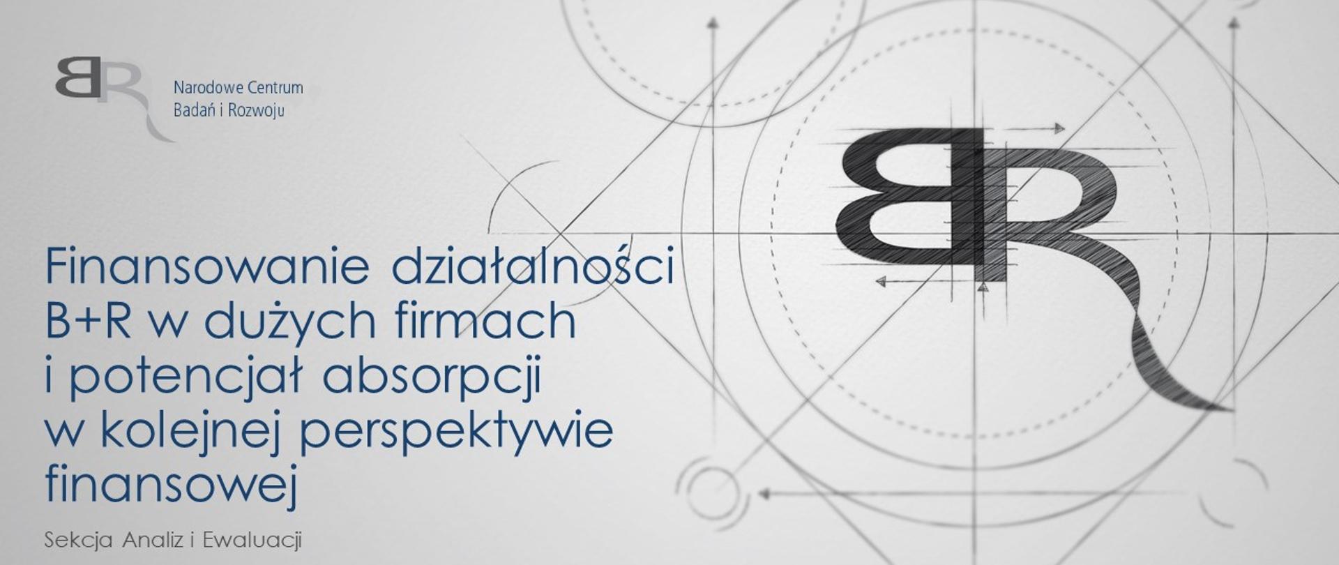 Finansowanie działalności B+R w dużych firmach i potencjał absorpcji w kolejnej perspektywie finansowej