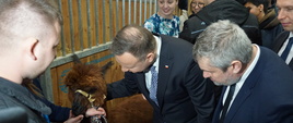 Prezydent i minister przy stoisku ze zwierzętami