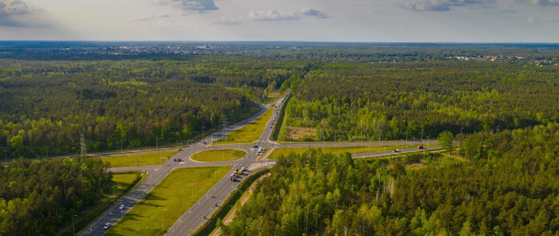 S17_Drewnica_Zabki-0142