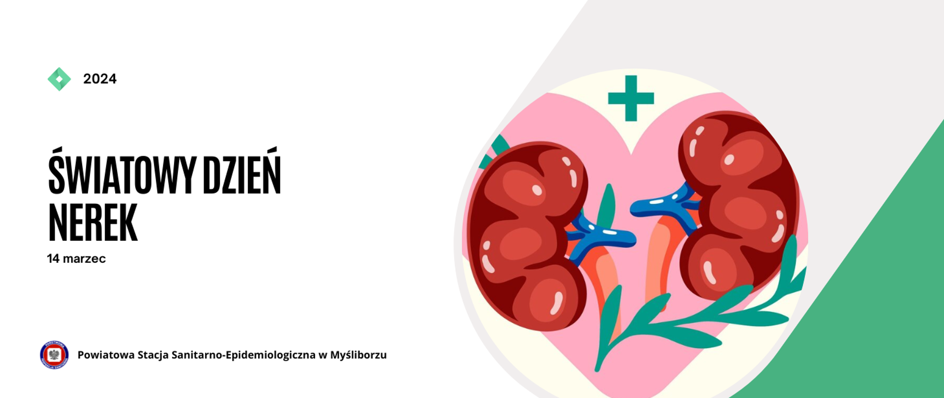 Światowy Dzień Nerek