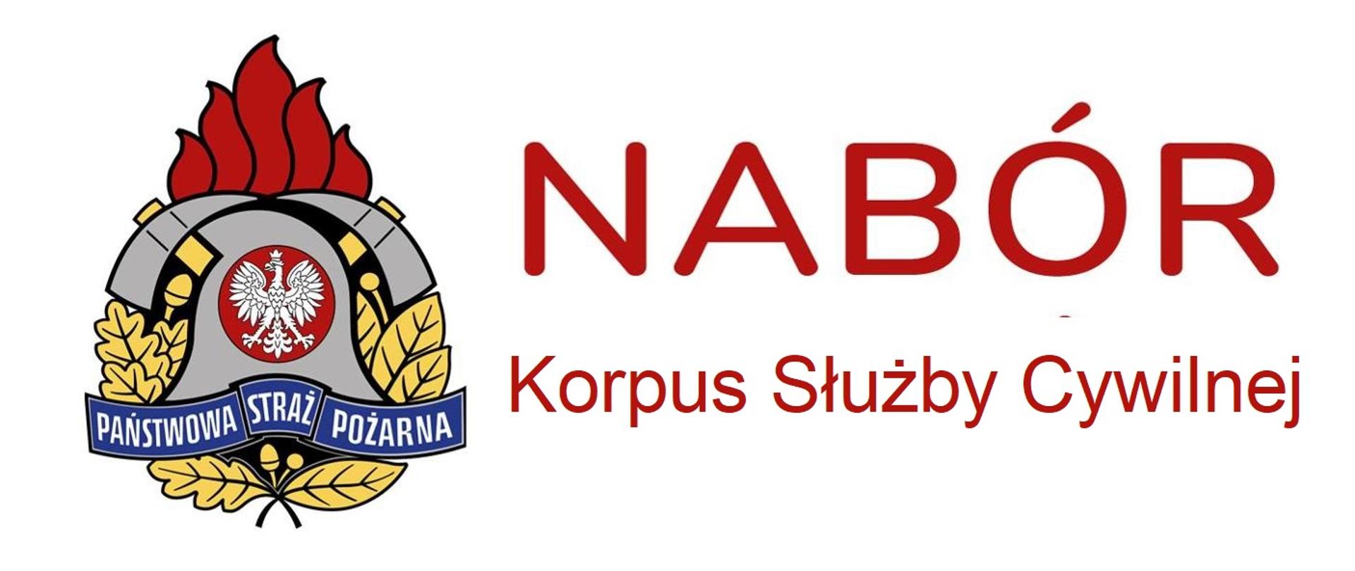 plakat z logo państwowej straży pożarnej wraz z napisem nabór korpus służby cywilnej zaś po lewej z logo 