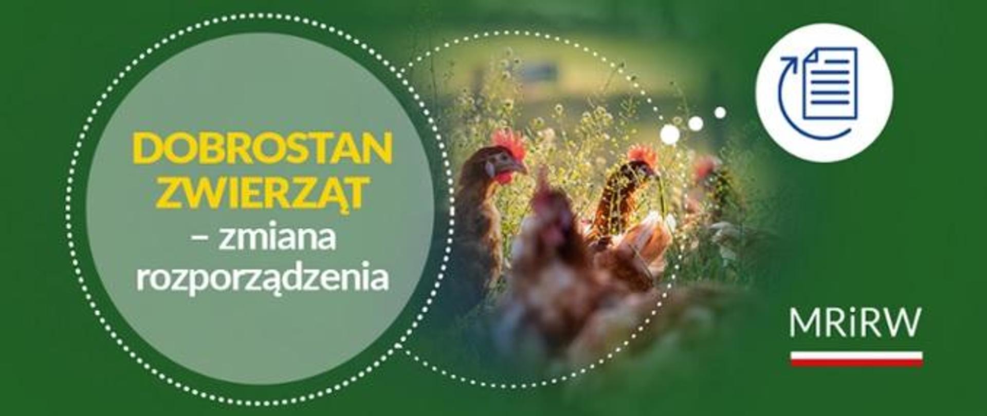 Dobrostan zwierząt - zmiana rozporządzenia