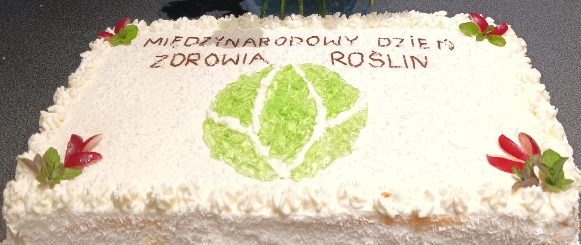 Tort z logo Międzynarodowego Dnia Zdrowia Roślin