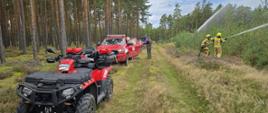 Leśna droga z ustawionymi pojazdami straży pożarnej – quadem i samochodem operacyjnym. Dwóch strażaków w żółtych hełmach i ubraniach bojowych gasi młodnik, podając wodę z linii gaśniczej.