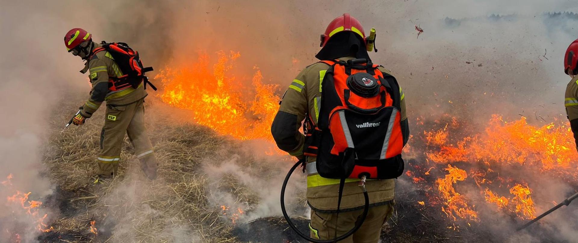 Strażacy w ubraniach specjalnych pracują bezpośrednio przy linii ognia. Na pierwszym planie widać dwóch strażaków wyposażonych w plecakowe urządzenia gaśnicze, którzy kierują strumień środka gaśniczego na płonącą ściółkę. Wokół unosi się gęsty dym, a ogień obejmuje suchą trawę.