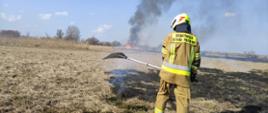 Pożary traw na nieużytkach rolnych w powiecie kazimierskim