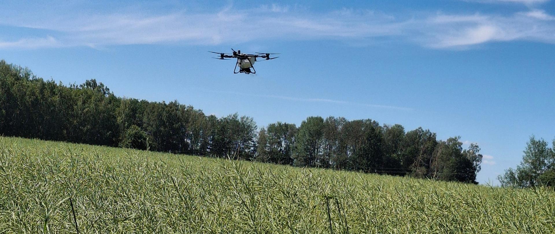 Dron
