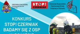 STOP! CZERNIAK