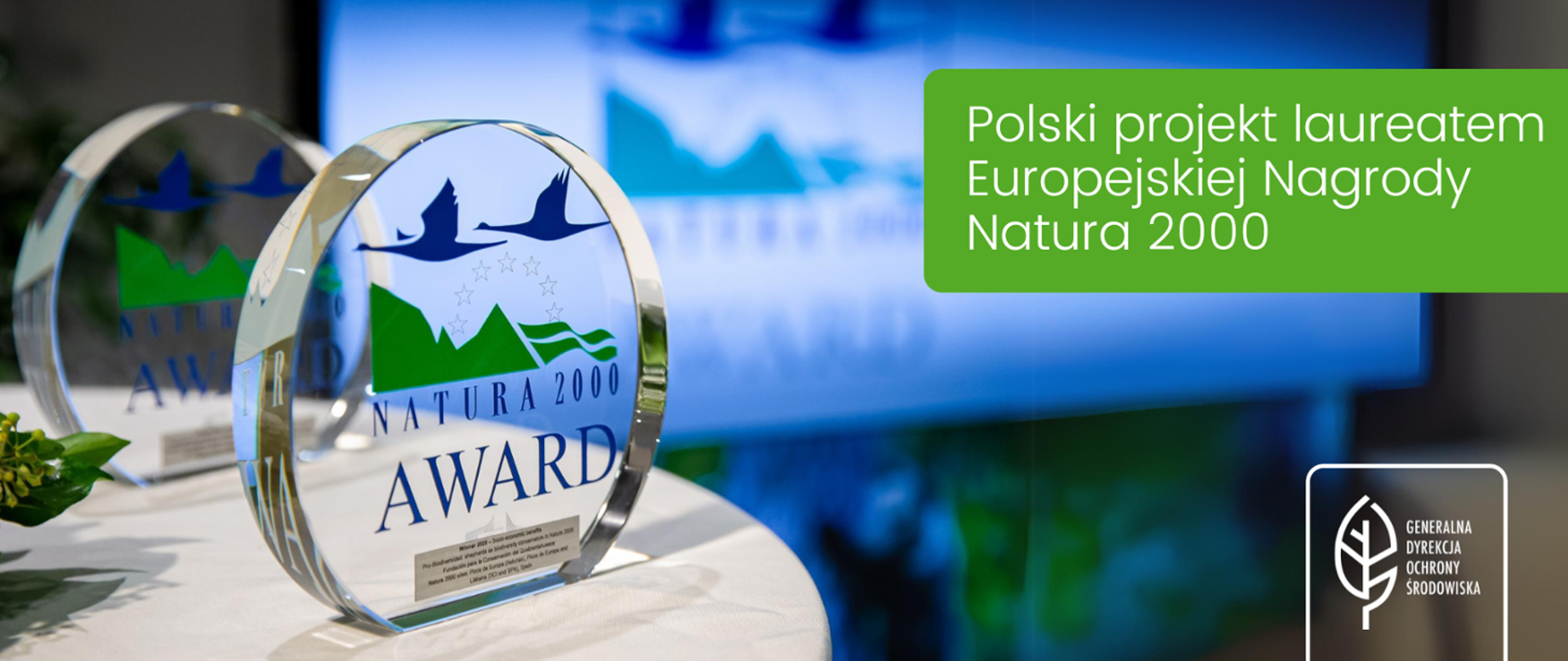 Na stole stoją dwie szklane statuetki z logotypem Nagrody Natura 2000 (Natura 2000 Award) . W prawym górnym rogu napis: Polski projekt laureatem Europejskiej Nagrody Natura 2000, w prawym dolny m rogu logotyp Generalnej Dyrekcji Ochrony Środowiska (biały liść)