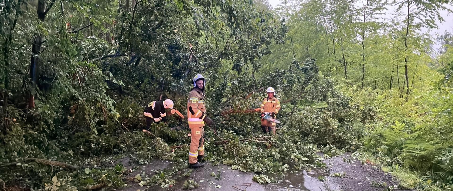Usuwanie skutków nawałnicy w powiecie szczecineckim -trzech strażaków ubranych w ubrania specjalne koloru paskowego, przy pomocy pilarek usuwają drzewo leżące na drodze. 