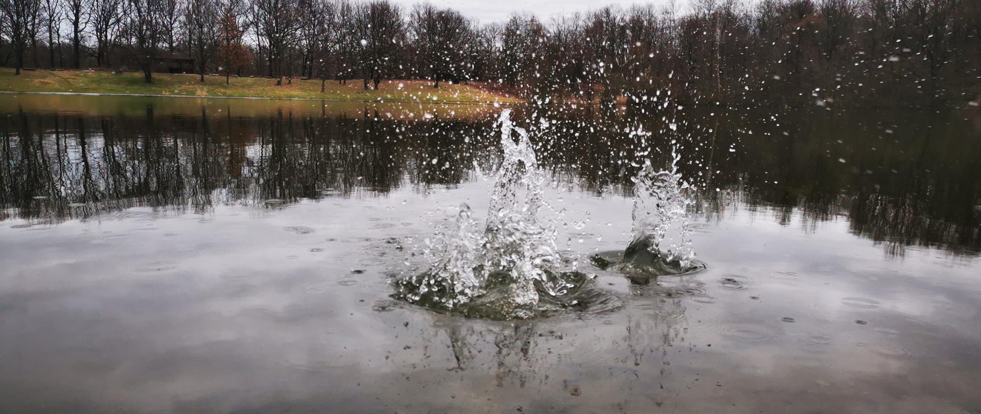 Kuba_Abram_SP2_Kąty_Wr