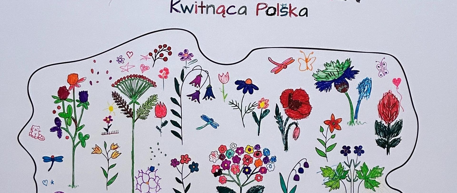 Dzień Europy Tallinn