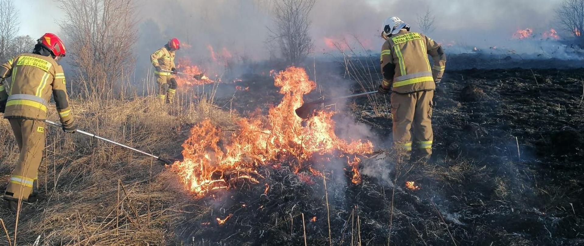 Strażacy gaszą pożar trawy