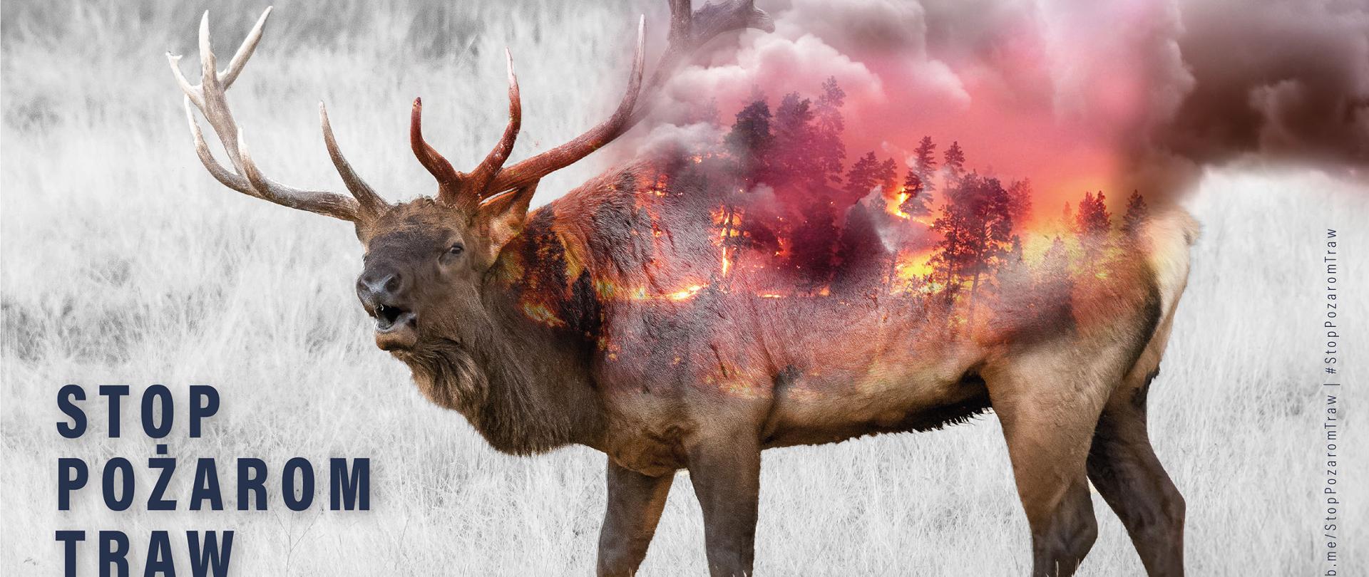 Plakat przedstawia jelenia na pastwisku, na grzbiecie zwierzęcia przedstawiony jest pożar traw i lasu z dużą ilością dymu. Plakat podpisany jest Stop pożarom traw.
