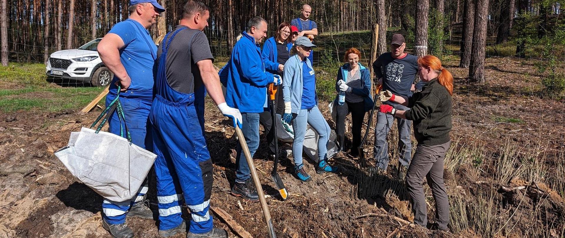 Akcja sadzenia drzew przez pracowników ZZ w Zielonej Górze nad Jeziorem Linie w zlewni rzeki Ilanka.