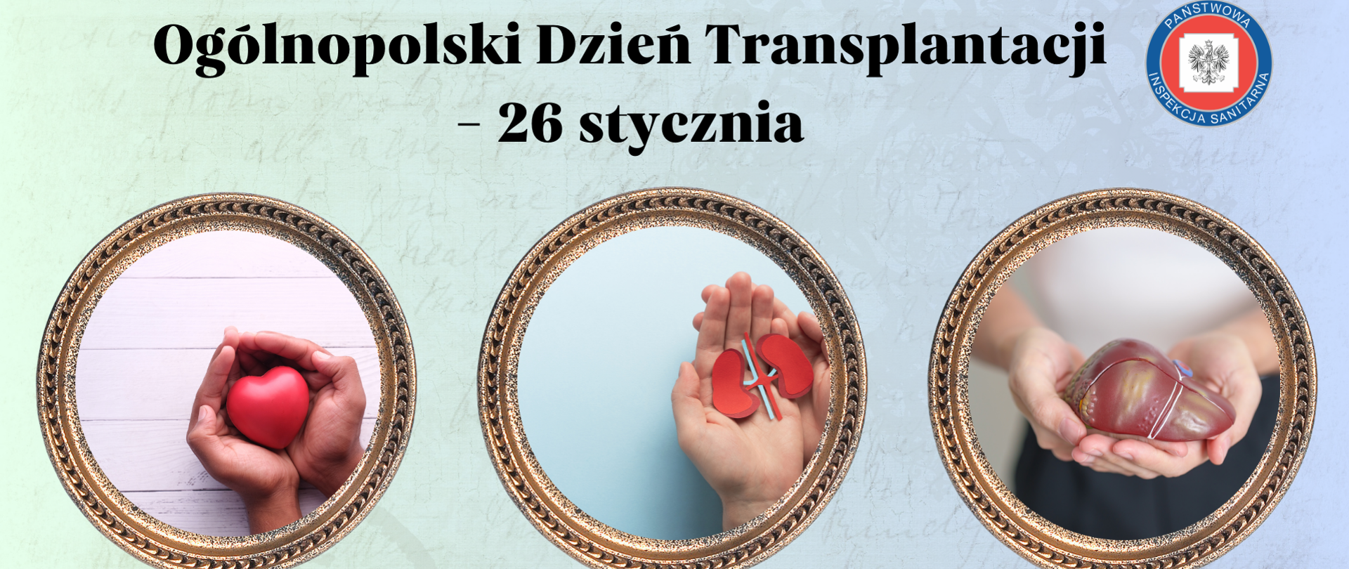 Infografika promuje Ogólnopolski Dzień Transplantacji, na pierwszym planie - przeszczep serca, nerki i wątroby