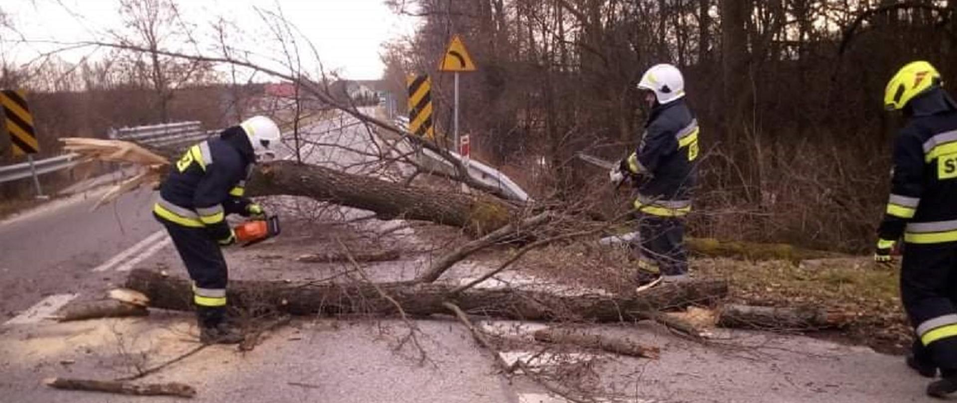 Zdjęcie przedstawia strażaków usuwających złamane drzewo leżące na drodze.