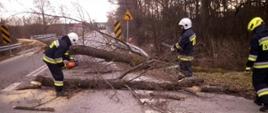 Zdjęcie przedstawia strażaków usuwających złamane drzewo leżące na drodze.