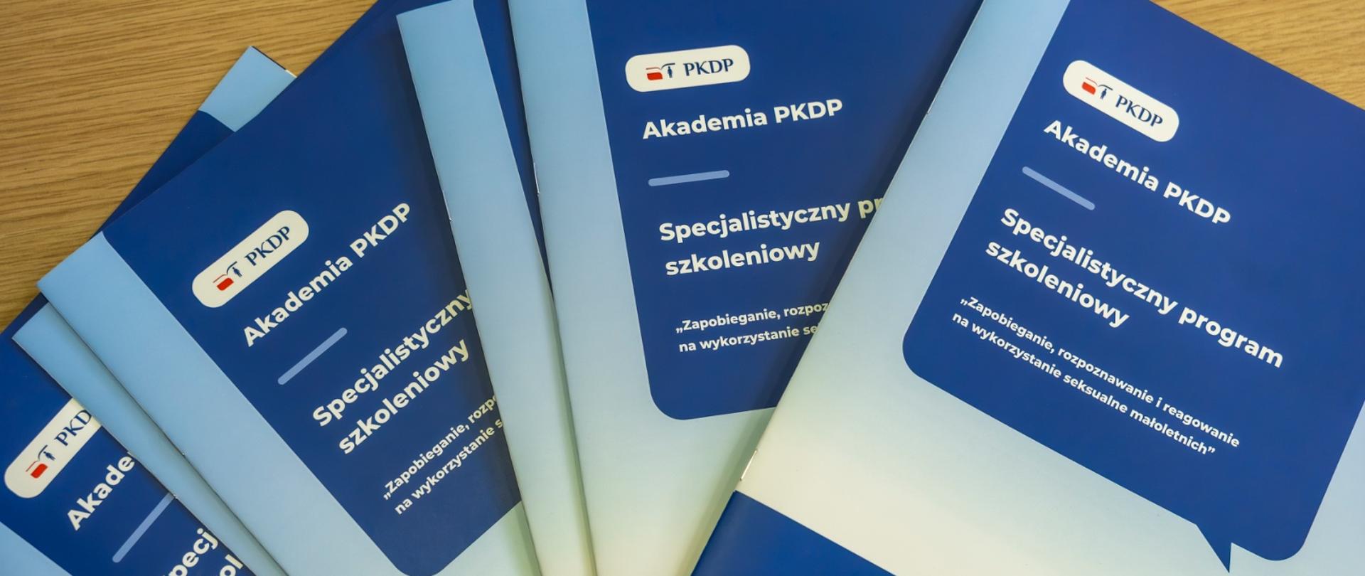 Rusza Akademia PKDP - bezpłatne szkolenia dotyczące ochrony dzieci przed wykorzystaniem seksualnym