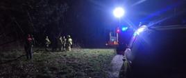 Grupa strażaków i pracownicy WIOŚ stojący na poboczu drogi nieutwardzonej w lesie, na drodze zaparkowane samochody, pora dnia noc.