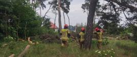 Zdjęcie przedstawia na pierwszym planie strażaków Państwowej Straży Pożarnej oraz teren lasu Państwowego, na którym odbywają się ćwiczenia bezpiecznej wycinki drzew. 