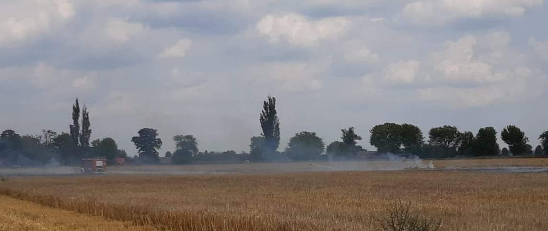 Widać zboże na polu, w oddali pożar