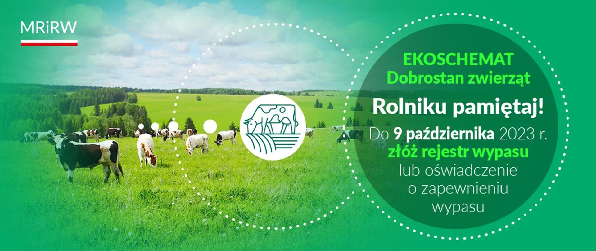 Ekoschemat_Dobrostan_zwierząt_MRiMR