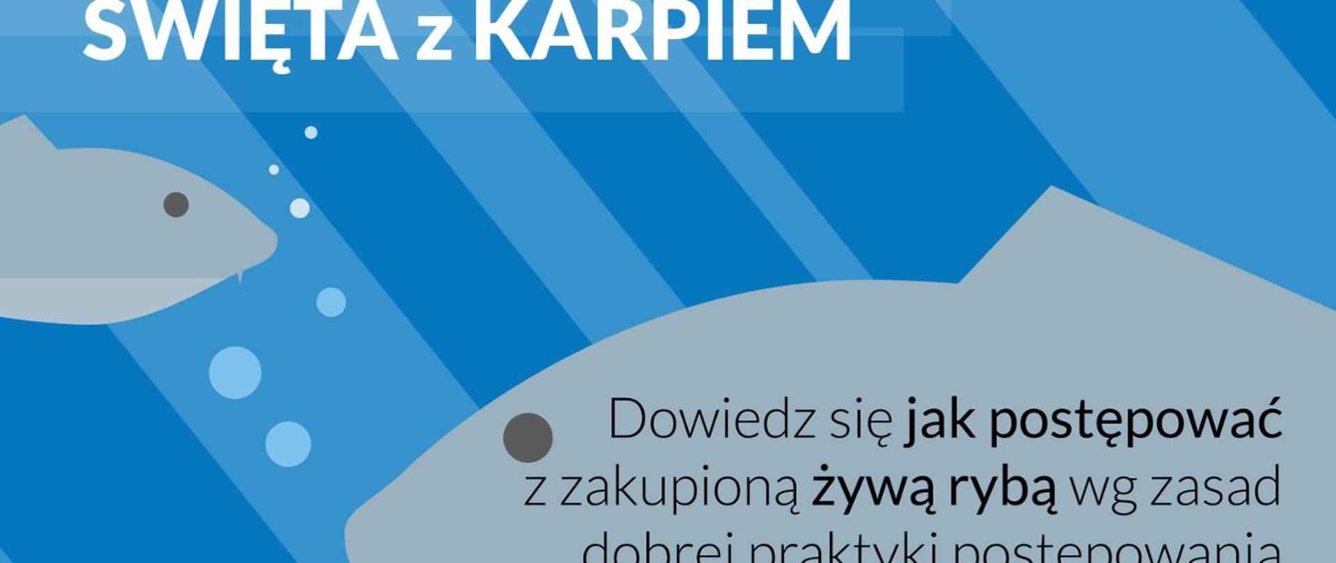 Grafika przedstawia pływające karpie. Na zdjęcie jest umieszczony tekst: "Dowiedz się jak postępować z zakupioną żywą rybą wg zasad dobrej praktyki postępowania".