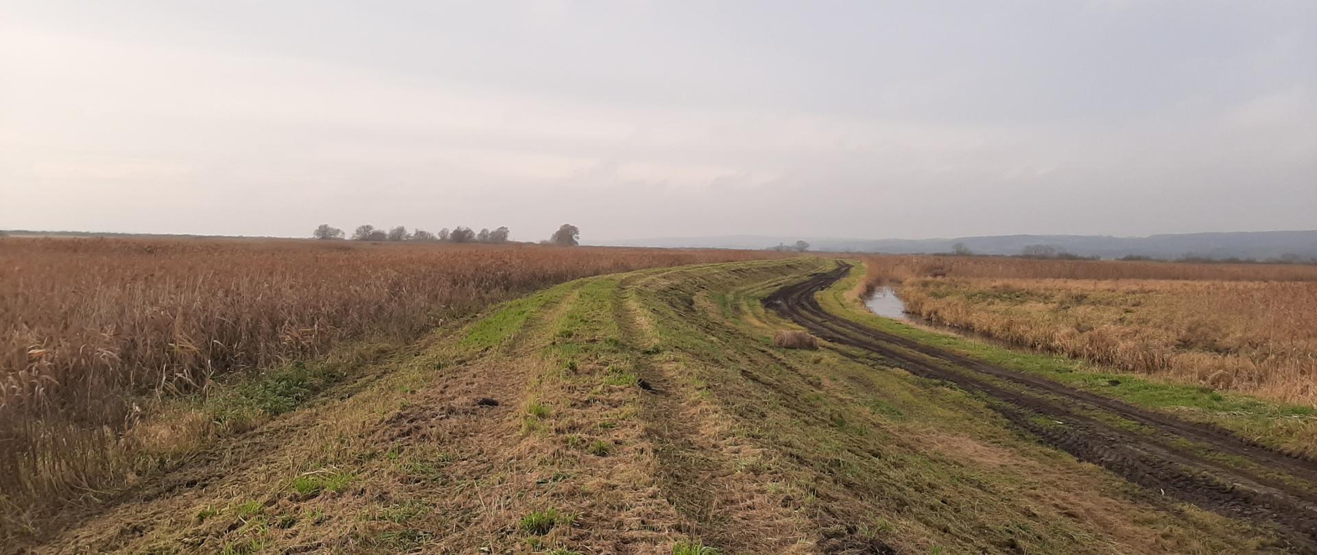 Zakończyliśmy II etap koszenia wałów Antoniny oraz Margoninka na długości ok. 9,7 km oraz Wolsko-Dworzakowo na długości 6,1 km.